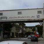 Monterey2016_0114 (April 29, 2016)